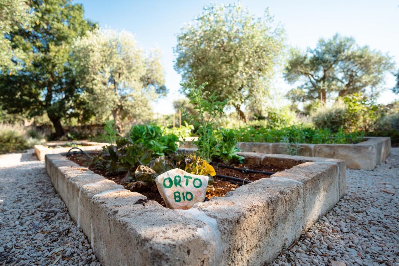Willa Trulli Ad Maiora Alberobello Zewnętrze zdjęcie